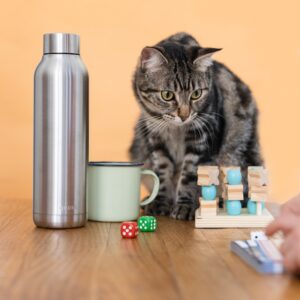 Pet Supplies